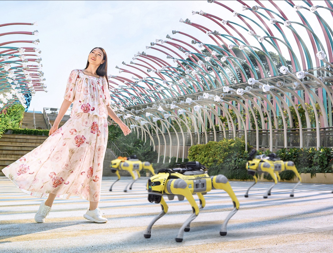 Singapore gives Robodogs trial walkies