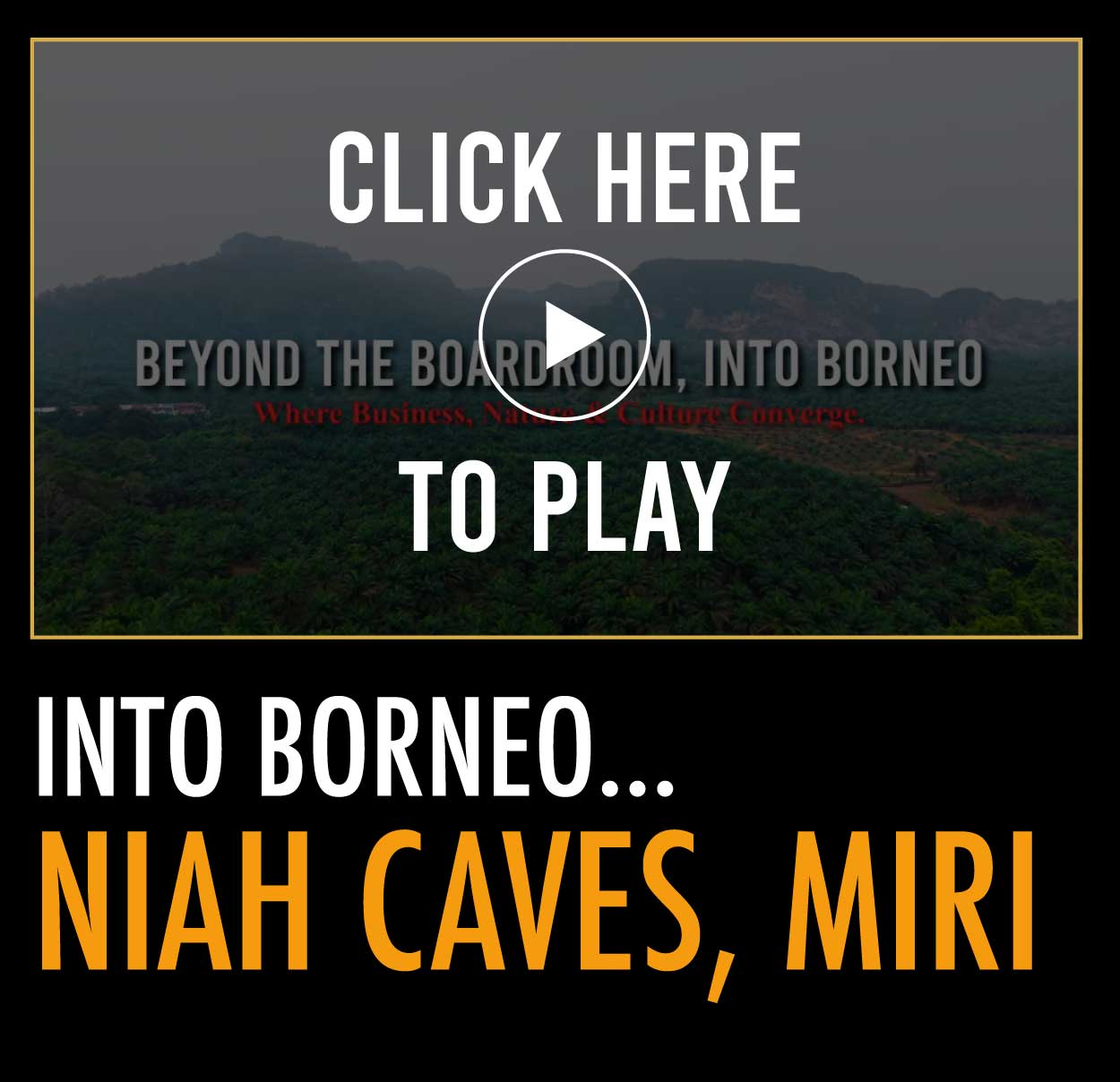 INTO BORNEO… NIAH, CAVES, MIRI
